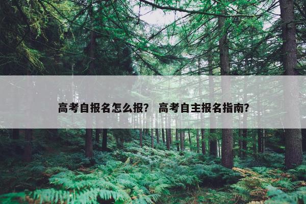 高考自报名怎么报？ 高考自主报名指南？
