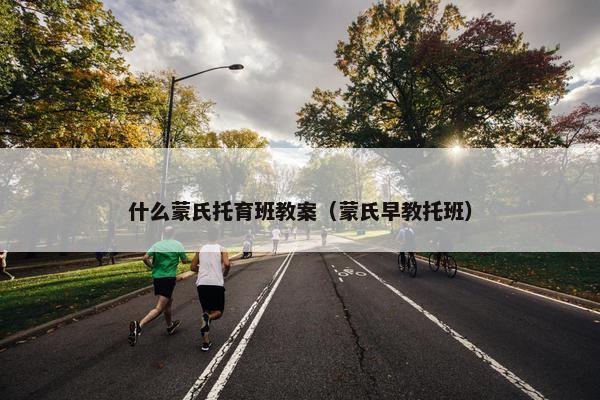 什么蒙氏托育班教案（蒙氏早教托班）