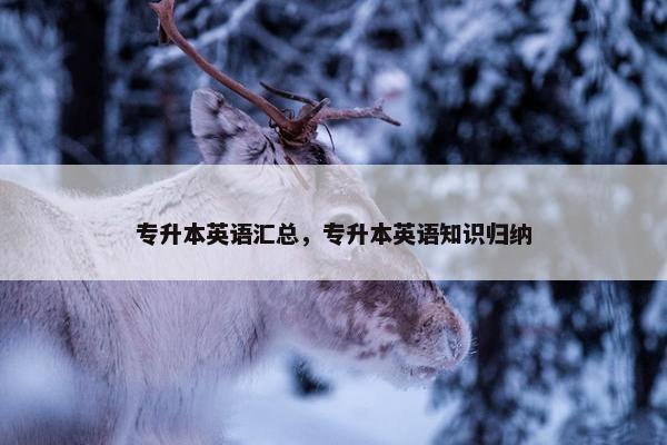 专升本英语汇总，专升本英语知识归纳