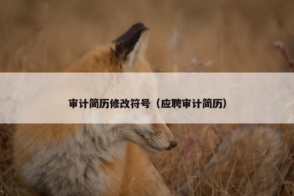 审计简历修改符号（应聘审计简历）
