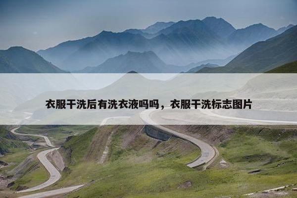 衣服干洗后有洗衣液吗吗，衣服干洗标志图片