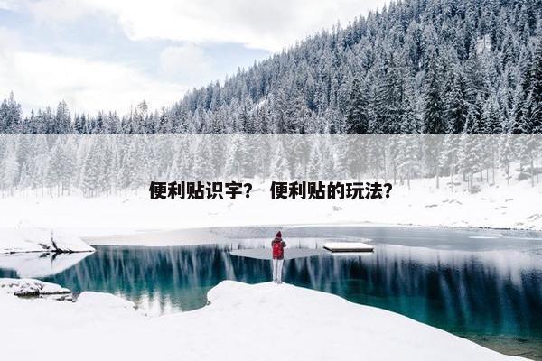 便利贴识字？ 便利贴的玩法？