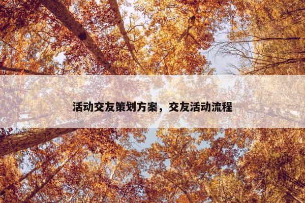 活动交友策划方案，交友活动流程