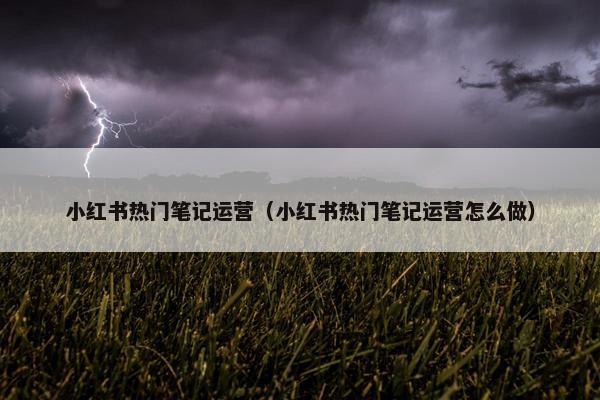 小红书热门笔记运营（小红书热门笔记运营怎么做）