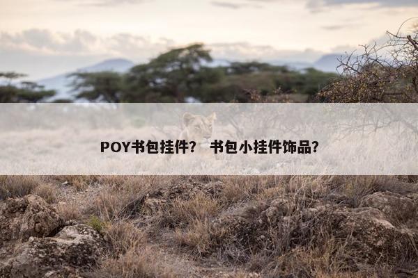 POY书包挂件？ 书包小挂件饰品？