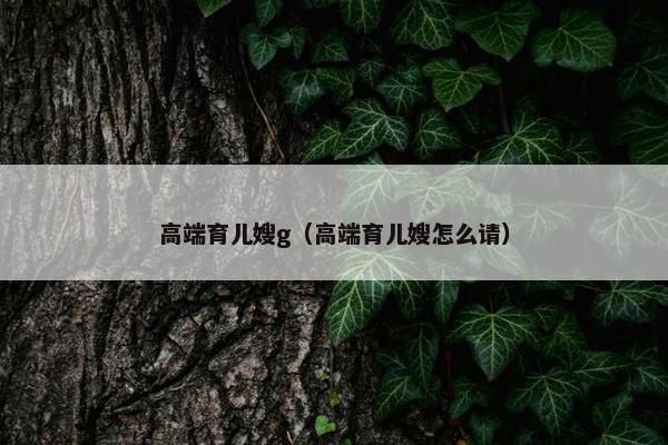 高端育儿嫂g（高端育儿嫂怎么请）