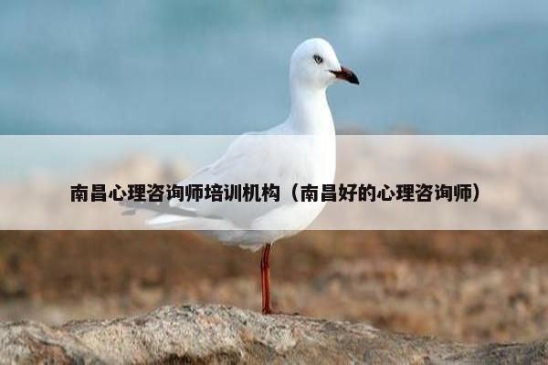 南昌心理咨询师培训机构（南昌好的心理咨询师）