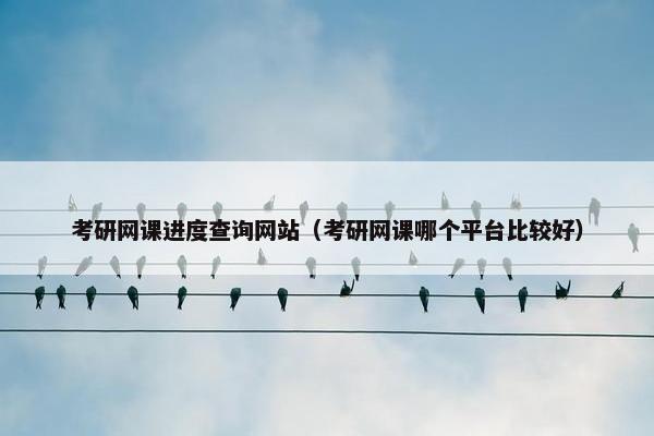 考研网课进度查询网站（考研网课哪个平台比较好）