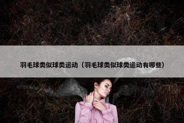 羽毛球类似球类运动（羽毛球类似球类运动有哪些）