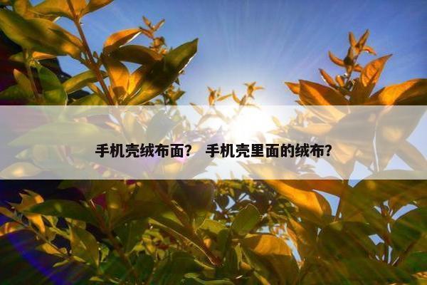 手机壳绒布面？ 手机壳里面的绒布？