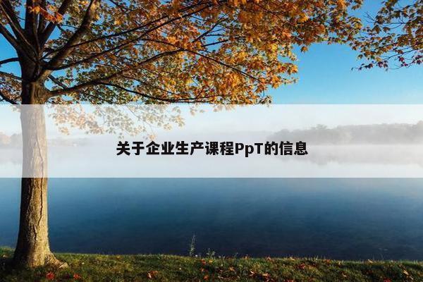 关于企业生产课程PpT的信息