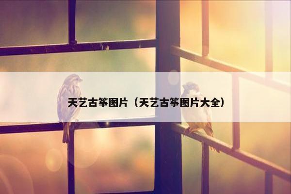 天艺古筝图片（天艺古筝图片大全）