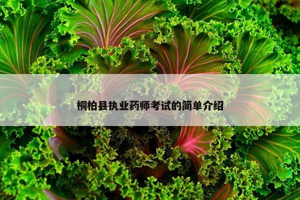 桐柏县执业药师考试的简单介绍