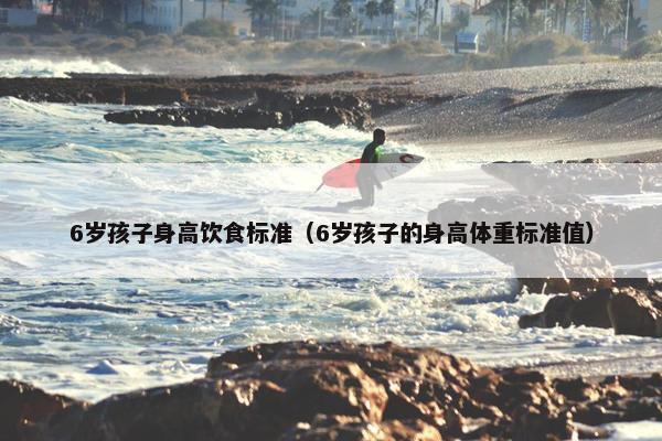 6岁孩子身高饮食标准（6岁孩子的身高体重标准值）