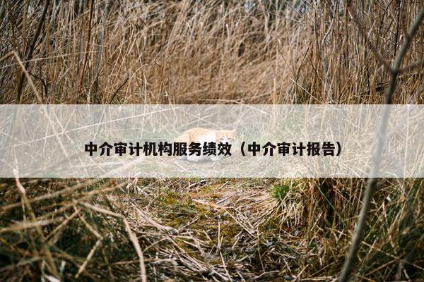 中介审计机构服务绩效（中介审计报告）