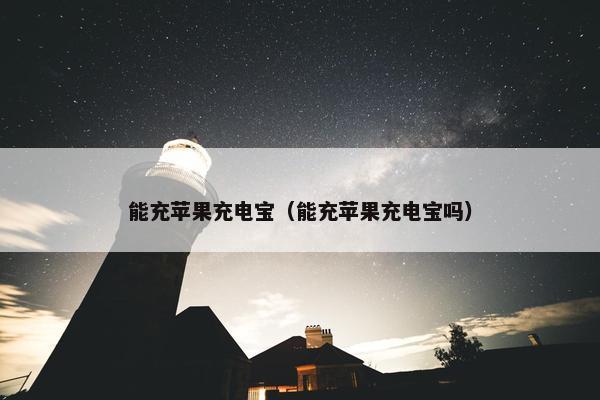能充苹果充电宝（能充苹果充电宝吗）