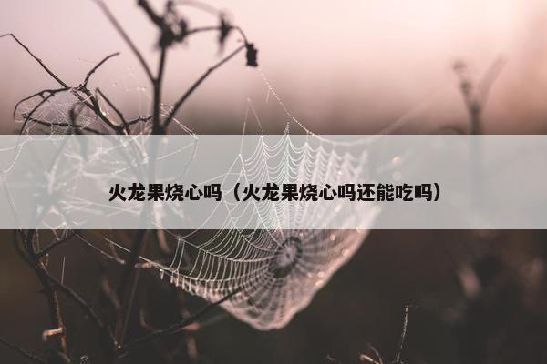 火龙果烧心吗（火龙果烧心吗还能吃吗）