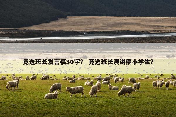 竞选班长发言稿30字? 竞选班长演讲稿小学生? 竞选班长发言稿30字? 竞选班长演讲稿小学生?