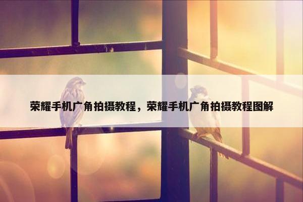 荣耀手机广角拍摄教程，荣耀手机广角拍摄教程图解