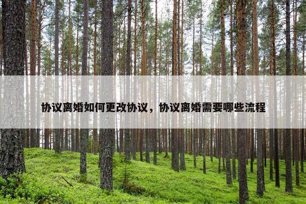 协议离婚如何更改协议，协议离婚需要哪些流程