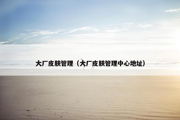 大厂皮肤管理（大厂皮肤管理中心地址）