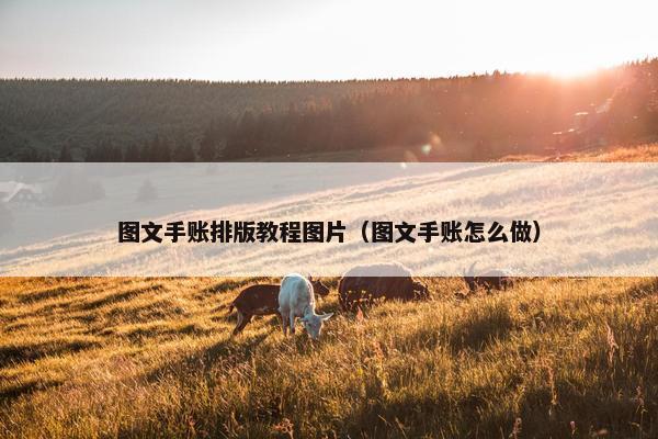 图文手账排版教程图片（图文手账怎么做）