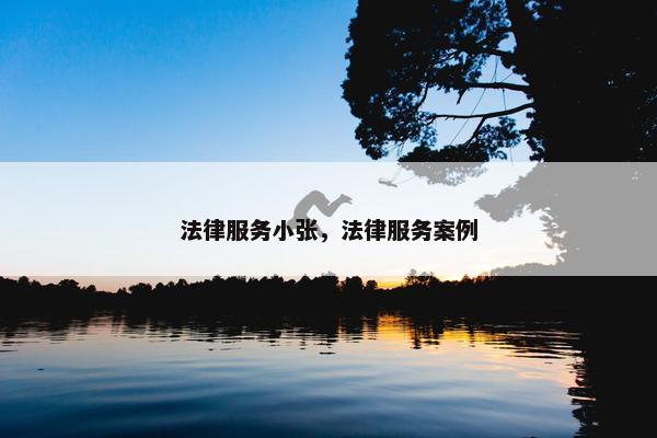 法律服务小张，法律服务案例