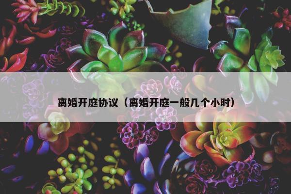 离婚开庭协议（离婚开庭一般几个小时）
