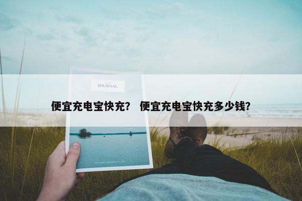 便宜充电宝快充？ 便宜充电宝快充多少钱？