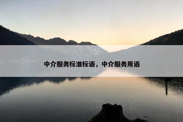 中介服务标准标语，中介服务用语
