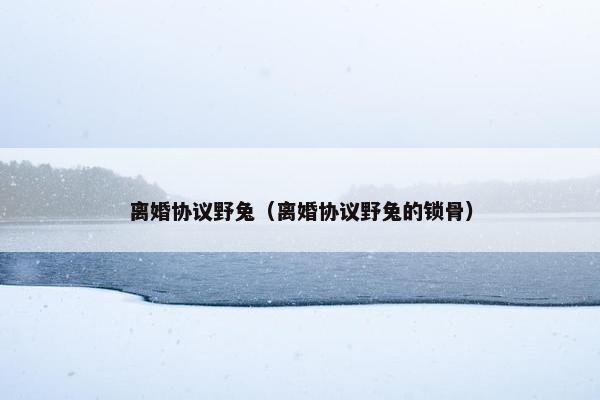 离婚协议野兔（离婚协议野兔的锁骨）