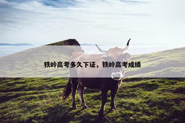 铁岭高考多久下证，铁岭高考成绩