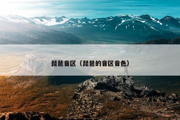 琵琶音区（琵琶的音区音色）