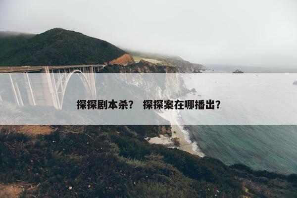 探探剧本杀？ 探探案在哪播出？