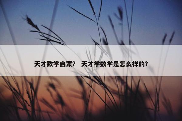 天才数学启蒙？ 天才学数学是怎么样的？
