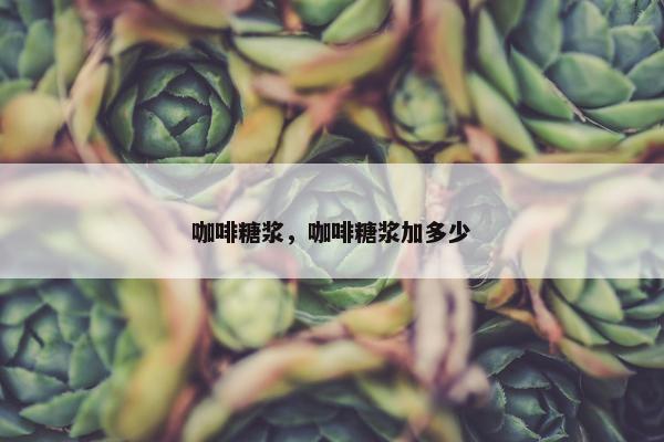咖啡糖浆，咖啡糖浆加多少