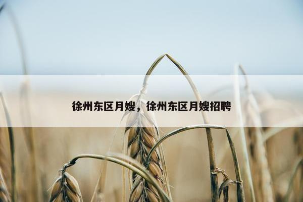 徐州东区月嫂，徐州东区月嫂招聘