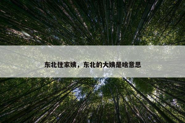 东北住家姨，东北的大姨是啥意思