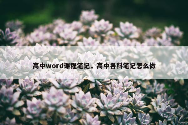 高中word课程笔记，高中各科笔记怎么做