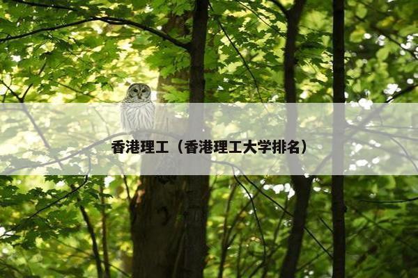 香港理工（香港理工大学排名）