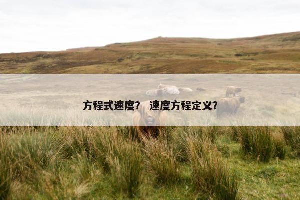 方程式速度？ 速度方程定义？