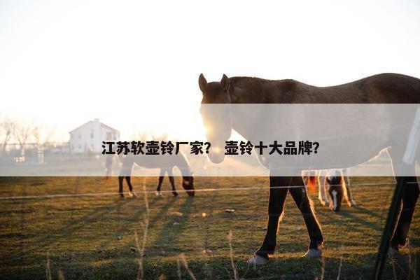 江苏软壶铃厂家？ 壶铃十大品牌？