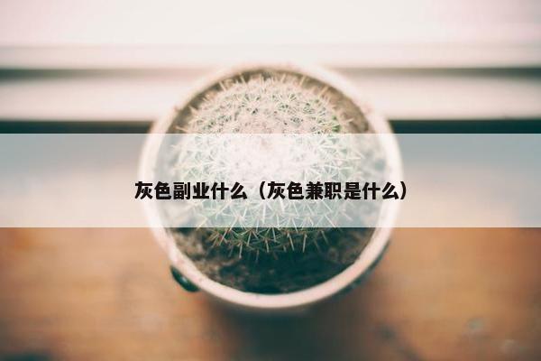 灰色副业什么（灰色兼职是什么）