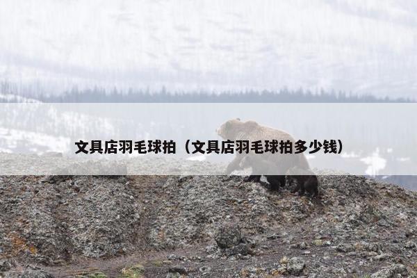 文具店羽毛球拍（文具店羽毛球拍多少钱）