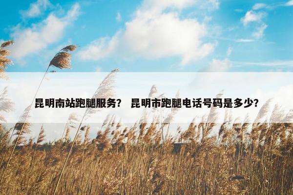 昆明南站跑腿服务？ 昆明市跑腿电话号码是多少？