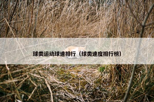 球类运动球速排行（球类速度排行榜）