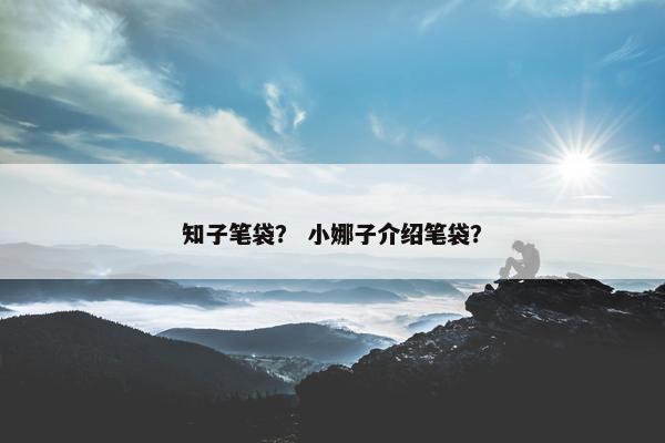 知子笔袋？ 小娜子介绍笔袋？
