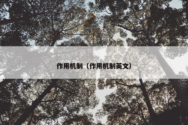 作用机制（作用机制英文）