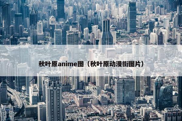 秋叶原anime图（秋叶原动漫街图片）