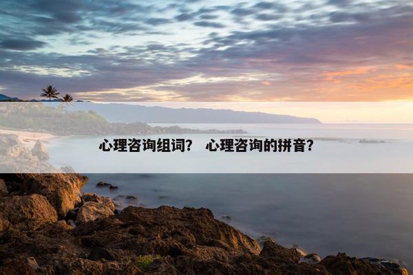 心理咨询组词？ 心理咨询的拼音？